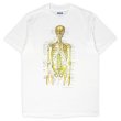 画像1: 80's Anatomical Chart Co. 人体解剖図 プリントTシャツ "MADE IN USA" (1)