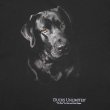 画像2: 00's DUCKS UNLIMITED ドッグプリントTシャツ "Labrador retriever" (2)