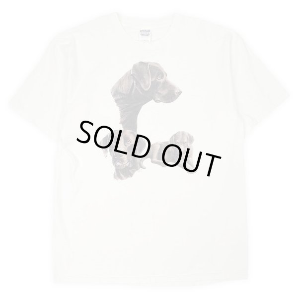 画像1: 00's GILDAN ドッグプリントTシャツ "Labrador retriever" (1)