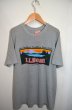 画像1: 80〜90's L.L.BEAN ロゴT-SHIRT (1)