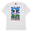 画像1: 90's FRUIT OF THE LOOM プリントTシャツ “DEADSTOCK” (1)