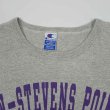 画像3: 90's Champion カレッジプリントTシャツ "MADE IN USA" (3)