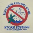 画像3: 80's BLUE RIDGE ELECTRIC COOP プリントTシャツ "MADE IN USA" (3)