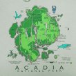 画像2: 00's LIBERTY GRAPHICS プリントTシャツ "ACADIA NATIONAL PARK" (2)