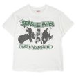 画像1: 90's Beastie Boys バンドTシャツ "CHECK YOUR HEAD / MADE IN USA" (1)