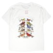 画像3: 00's LIBERTY GRAPHICS × Frank Lloyd Wright テストプリントTシャツ "DEADSTOCK" #24-9 (3)