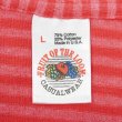 画像2: 90's Fruit of the loom ボーダーTシャツ "MADE IN USA" (2)