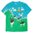 画像1: 90-00's Ben & Jerry's タイダイTシャツ (1)