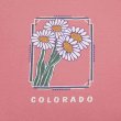 画像3: 90's COLORADO スーベニアTシャツ (3)