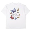 画像1: 00's Butterflies of Costa Rica スーベニアTシャツ (1)