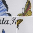 画像4: 00's Butterflies of Costa Rica スーベニアTシャツ (4)