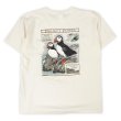 画像3: 00's LIBERTY GRAPHICS テストプリントTシャツ "DEADSTOCK / MADE IN USA" (3)