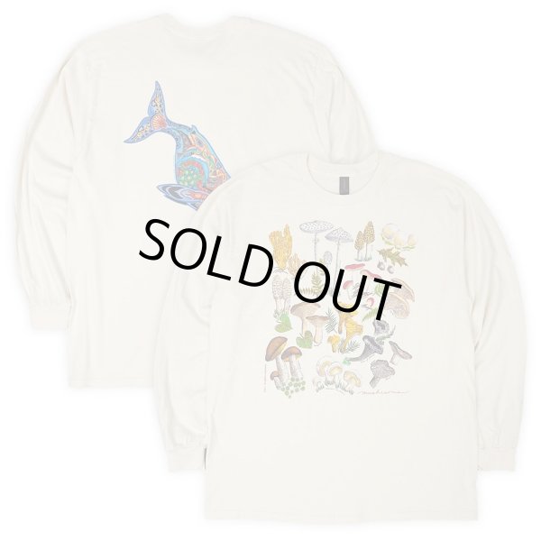 画像1: 00's LIBERTY GRAPHICS L/S テストプリントTシャツ “DEADSTOCK” #24-30 (1)