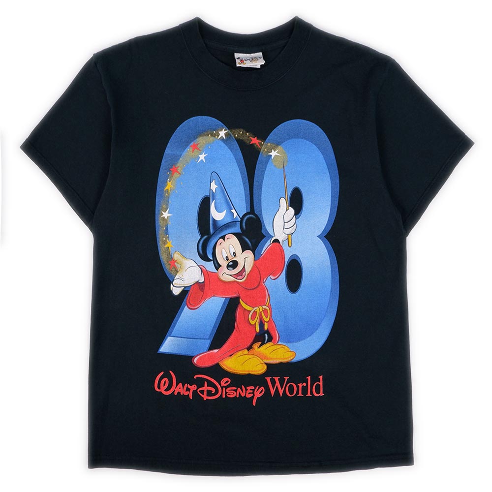 希少　USA購入　Disney  DCAPPELLA USA TOUR Tシャツ