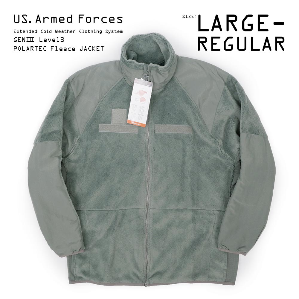 FOLIAGE GREEN / DEADSTOCK / LARGE-REGULAR】US. Armed Forces ECWCS ...